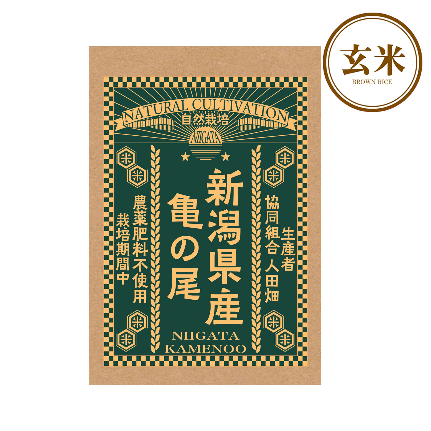 【玄米】令和6年産自然栽培 新潟県産亀の尾 300g  真空パック (生産者：協同組合 人田畑）