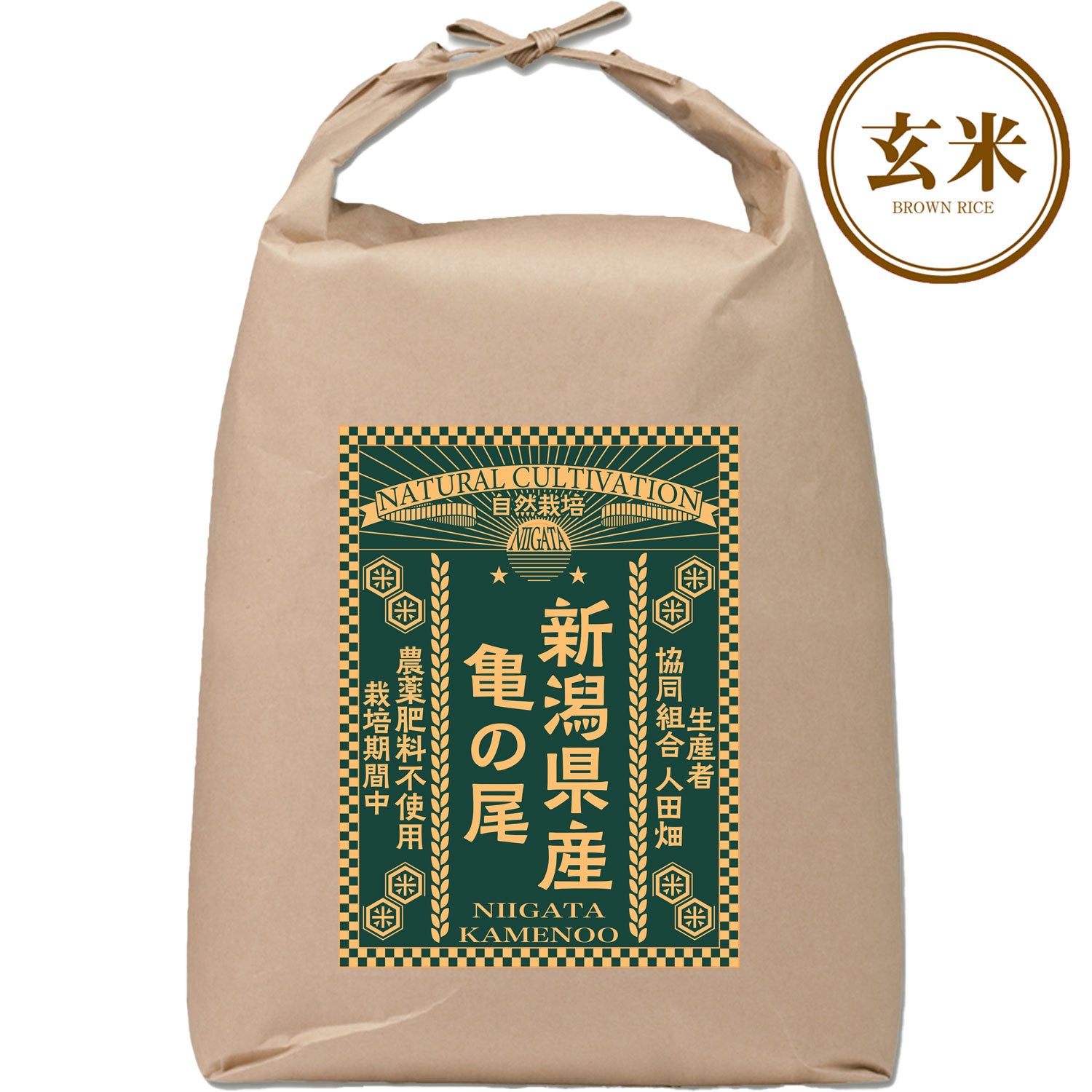 【玄米】令和6年産自然栽培 新潟県産亀の尾 5kg  (生産者：協同組合 人田畑）