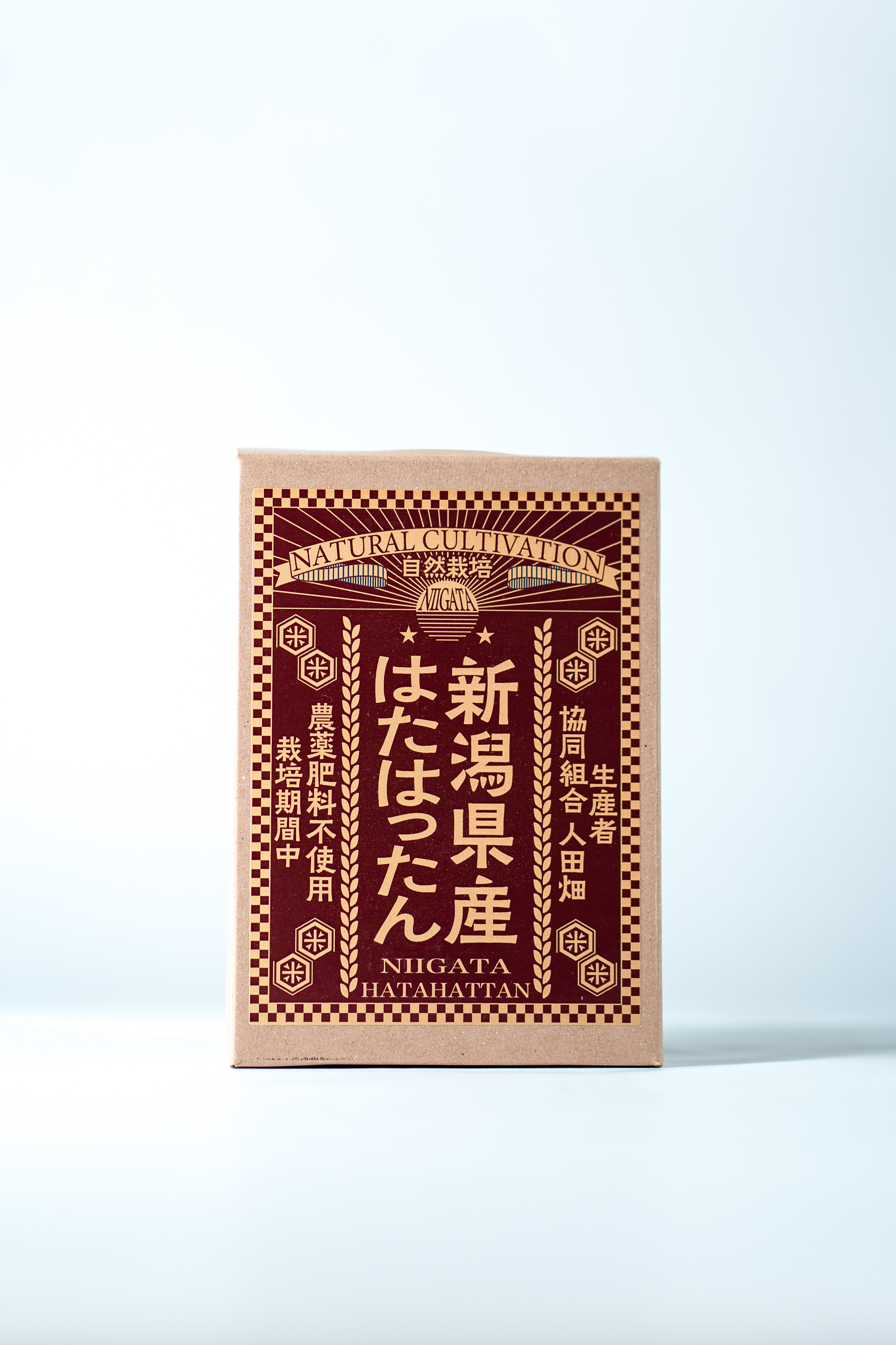 令和7年産自然栽培 新潟県産はたはったん 300g 精米 真空パック (生産者：協同組合 人田畑）