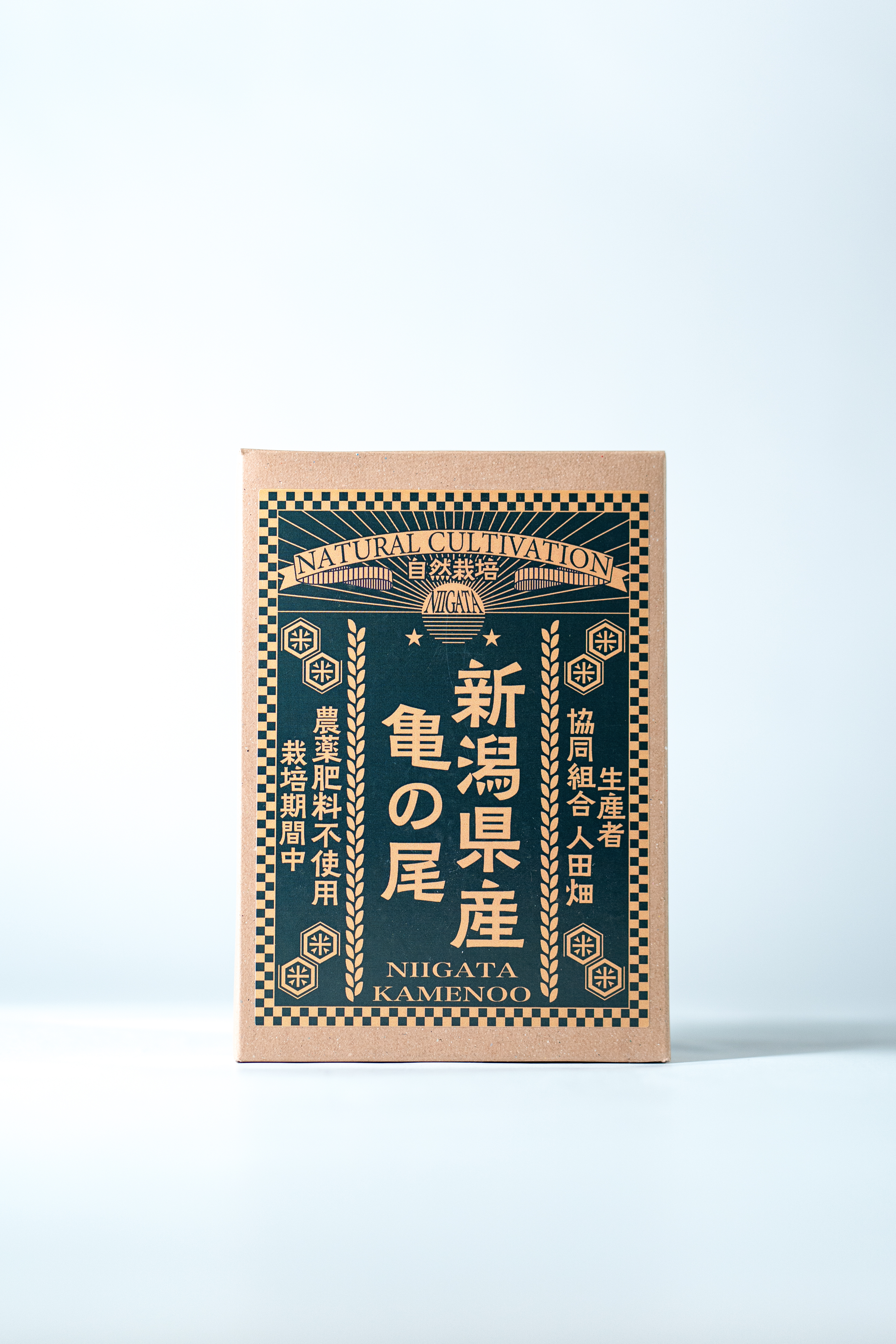 令和7年産自然栽培 新潟県産亀の尾 300g 精米 真空パック (生産者：協同組合 人田畑）