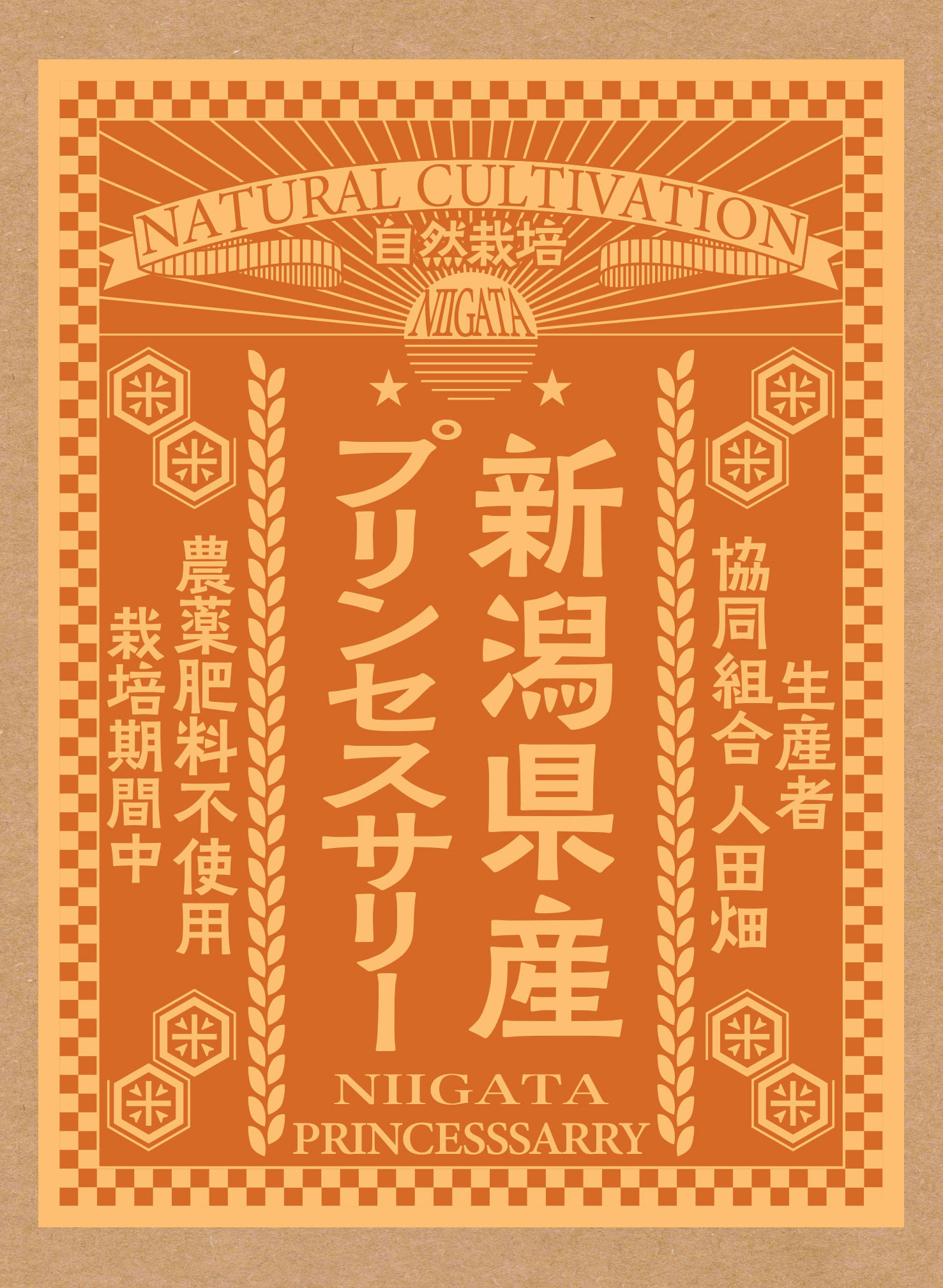 【新米】令和7年産自然栽培 新潟県プリンセスサリー 300g 精米 真空パック (生産者：協同組合 人田畑）