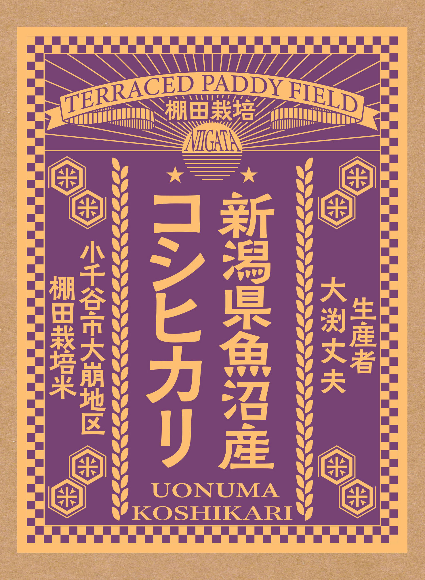 【新米】令和7年産棚田米 新潟県魚沼産(大崩地区)コシヒカリ 300g 精米 真空パック (生産者：大渕丈夫）